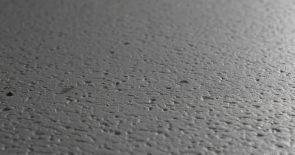 Elevate your architectural coatings with long lasting matt perfection