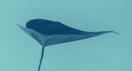 Sustainability programs updates