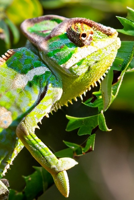 Inkjet Printing in the Textile Industry