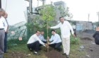 Tree plantation, Rajkot