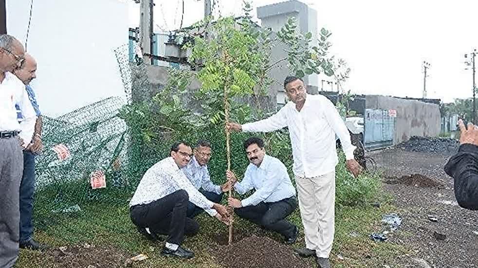 Tree plantation, Rajkot