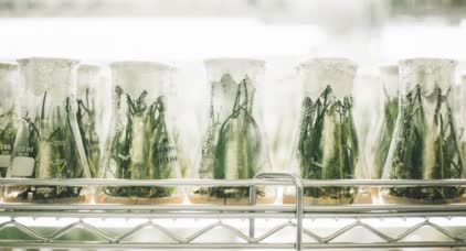 Biocontrol 2022