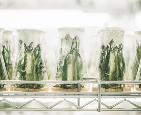 Biocontrol 2022