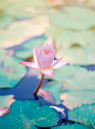 179,210,660 Ecofriendly products in 2023 (92.20%)