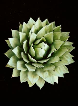 4 Scope 1 and Scope 2 emissions reduction since 2021