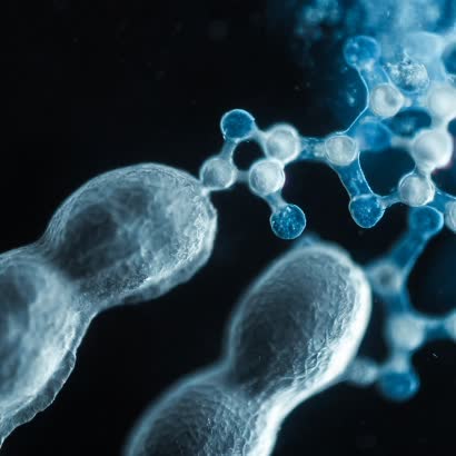 Explore our scientific world
