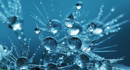 Lamberti’s stand at Techtextil