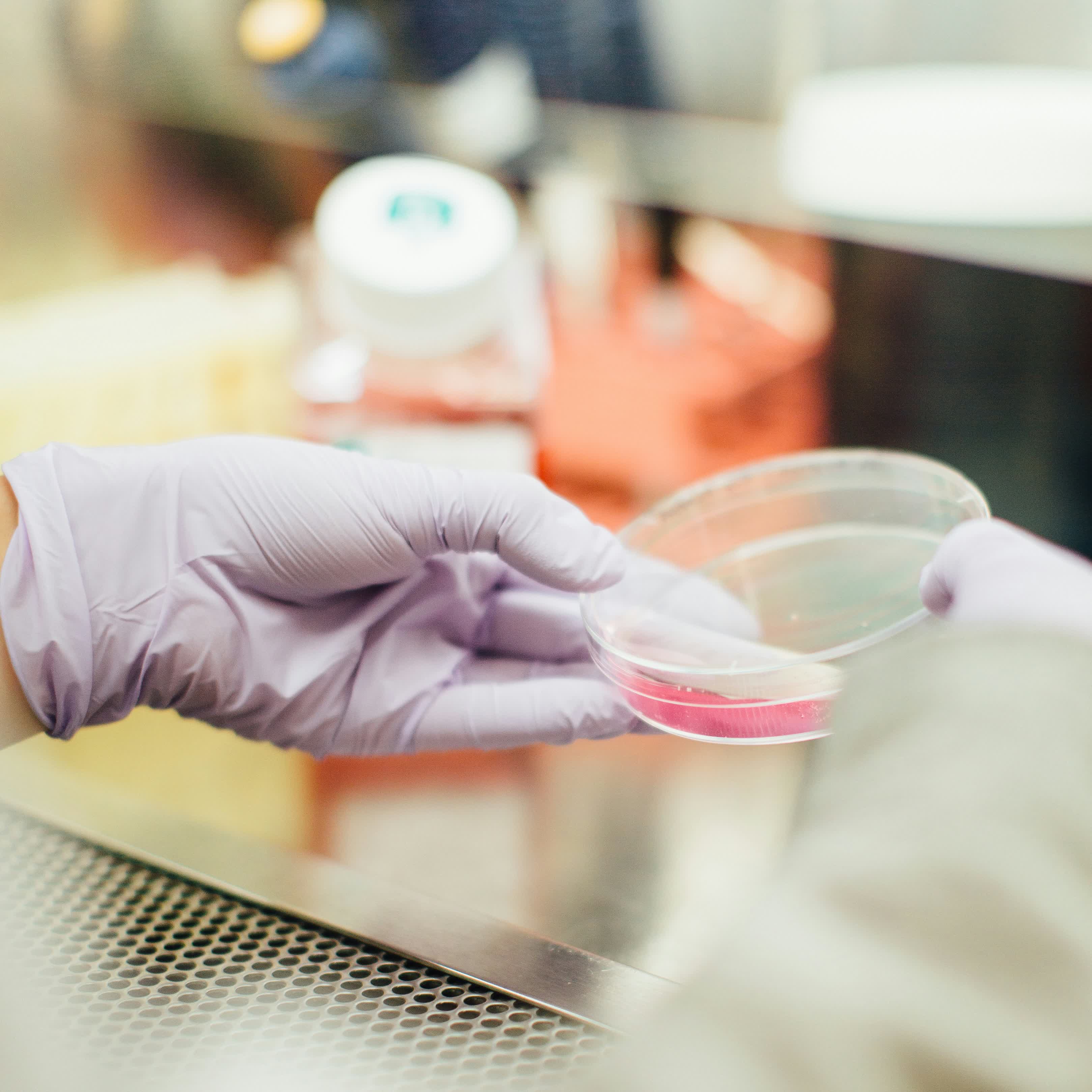 Beyond Product Formulation