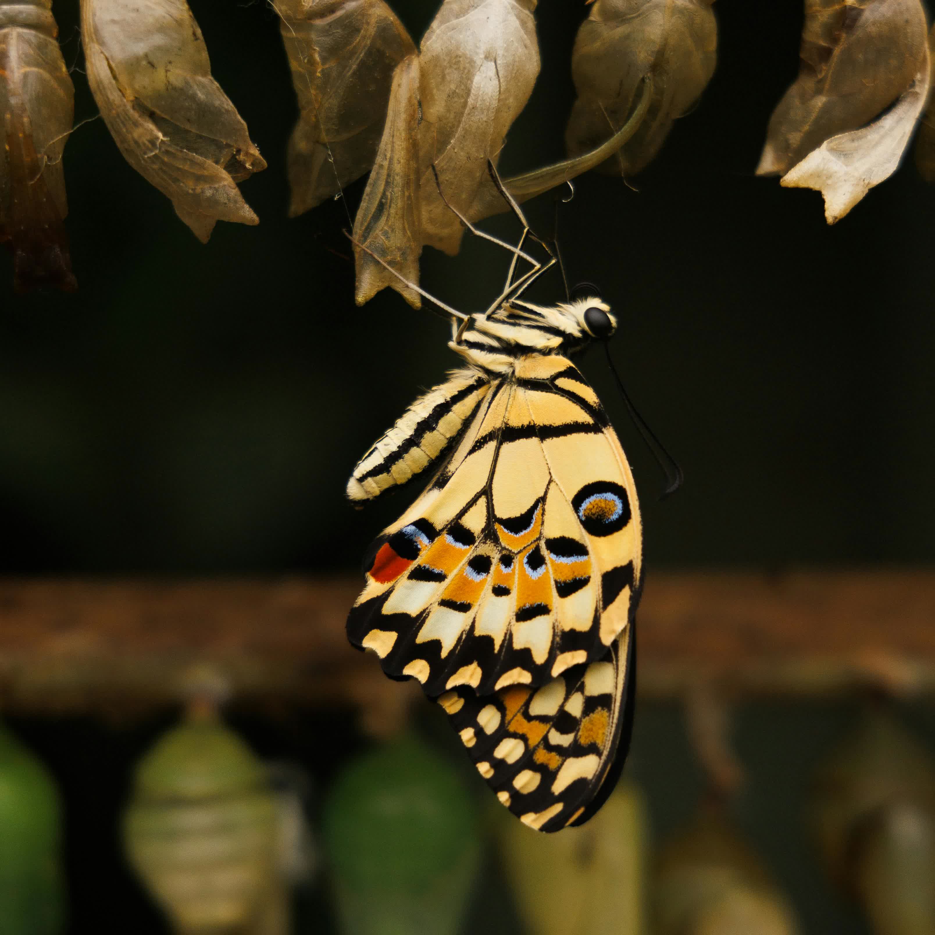 Looking Ahead: From Measurement to Transformation
