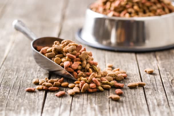 Natural additives for animals and pets nutrition