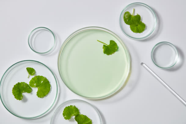 🎯 Strategic Focus: Innovation for Agro Efficiency