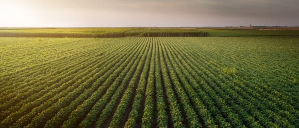 🌐 Working Together for Sustainable Agriculture