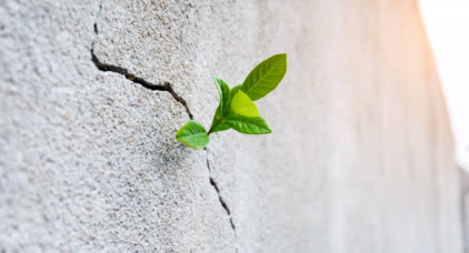 Resilient by Nature. Powered by Chemistry
