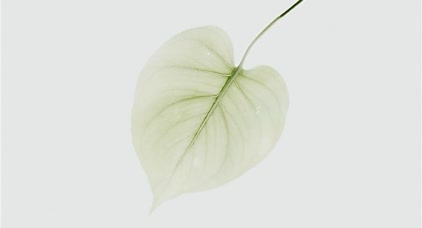 Esacol<sup>®</sup> 506/E - The first certification of a carbon footprint study
