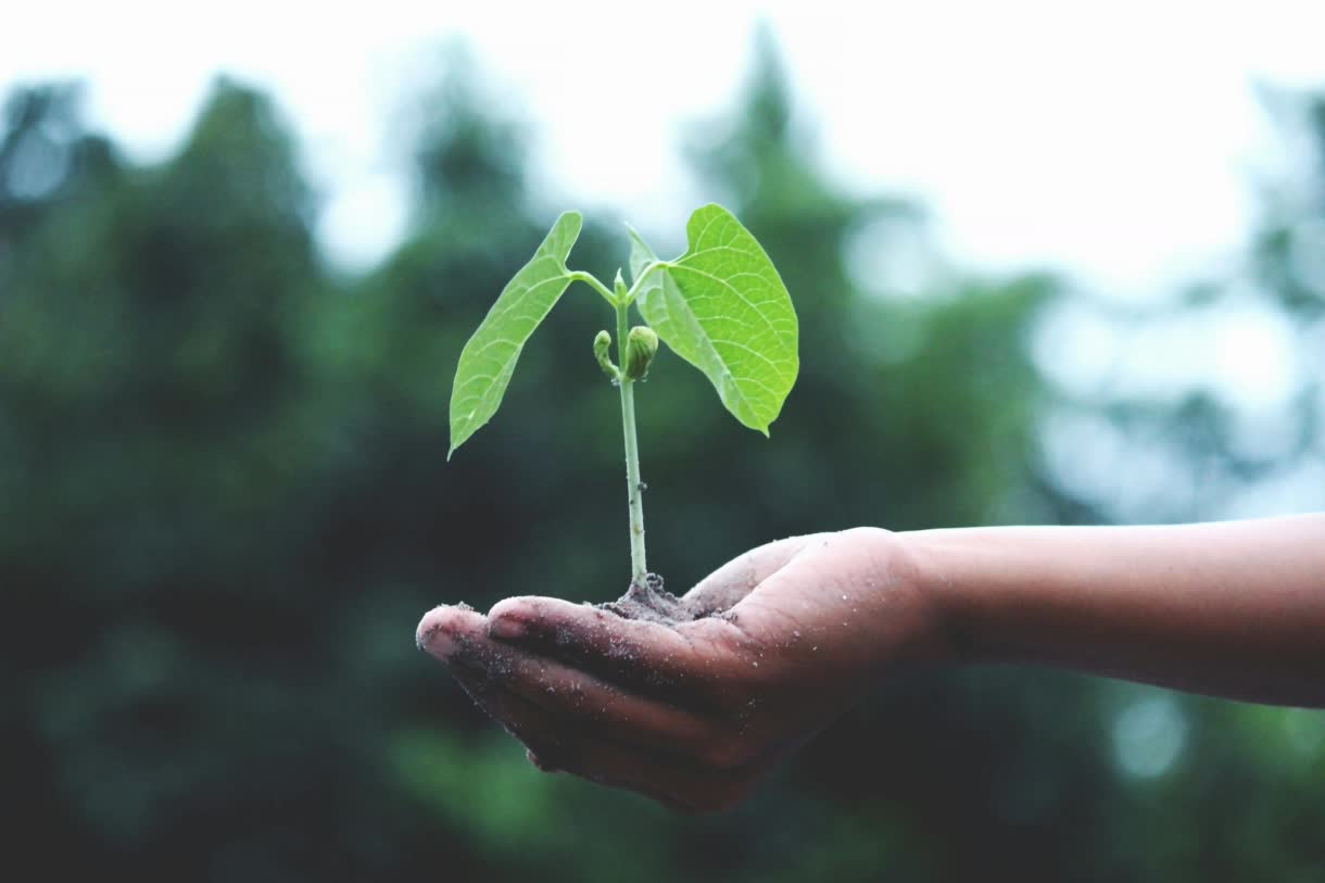 Changing How We Work, Not Just What We Do
